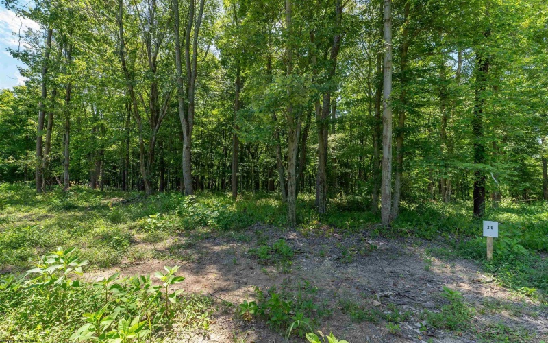 Lot 20 Bowers Lane, Morgantown, West Virginia 26508, ,Lots/land,For Sale,Bowers,10156820