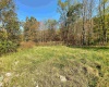 Lot 3 Blizzards Gate Road, Harman, West Virginia 26270, ,Lots/land,For Sale,Blizzards Gate,10156846