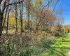 Lot 3 Blizzards Gate Road, Harman, West Virginia 26270, ,Lots/land,For Sale,Blizzards Gate,10156846