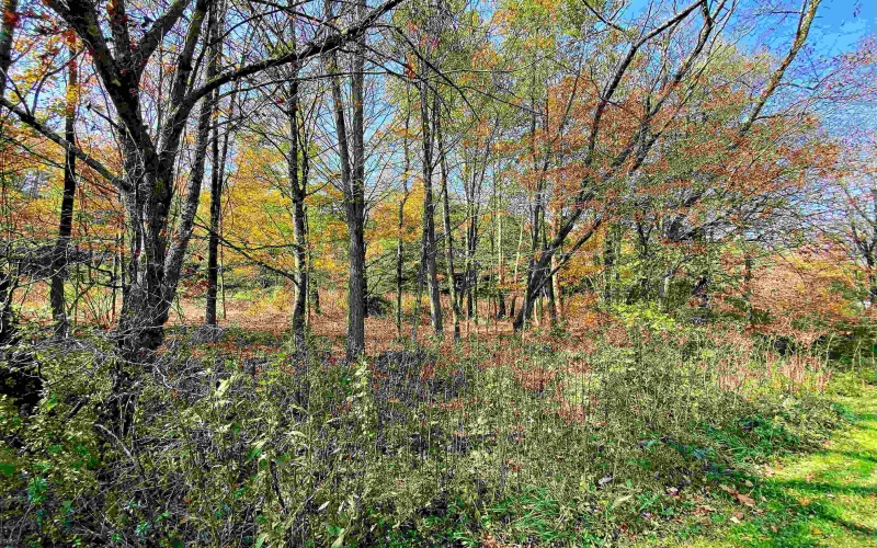 Lot 3 Blizzards Gate Road, Harman, West Virginia 26270, ,Lots/land,For Sale,Blizzards Gate,10156846