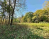 Lot 3 Blizzards Gate Road, Harman, West Virginia 26270, ,Lots/land,For Sale,Blizzards Gate,10156846