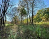 Lot 3 Blizzards Gate Road, Harman, West Virginia 26270, ,Lots/land,For Sale,Blizzards Gate,10156846