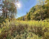 Lot 2 Blizzards Gate Road, Harman, West Virginia 26270, ,Lots/land,For Sale,Blizzards Gate,10156845