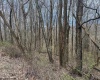 0 Meadow Lane, Bruceton Mills, West Virginia 26525, ,Lots/land,For Sale,Meadow,10156841