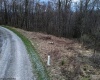 0 Meadow Lane, Bruceton Mills, West Virginia 26525, ,Lots/land,For Sale,Meadow,10156841