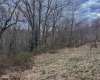 0 Meadow Lane, Bruceton Mills, West Virginia 26525, ,Lots/land,For Sale,Meadow,10156841