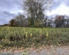 101-1008 Pointy Knob Road, Davis, West Virginia 26260, ,Lots/land,For Sale,Pointy Knob,10156839