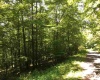 3 Stone Camp Ridge, Dryfork, West Virginia 26263, ,Lots/land,For Sale,Stone Camp,10156851