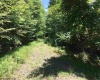 3 Stone Camp Ridge, Dryfork, West Virginia 26263, ,Lots/land,For Sale,Stone Camp,10156851