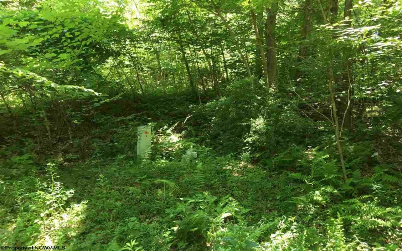 3 Stone Camp Ridge, Dryfork, West Virginia 26263, ,Lots/land,For Sale,Stone Camp,10156851