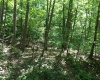 3 Stone Camp Ridge, Dryfork, West Virginia 26263, ,Lots/land,For Sale,Stone Camp,10156851