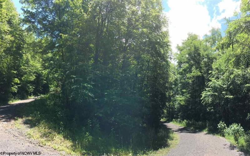 3 Stone Camp Ridge, Dryfork, West Virginia 26263, ,Lots/land,For Sale,Stone Camp,10156851