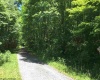 3 Stone Camp Ridge, Dryfork, West Virginia 26263, ,Lots/land,For Sale,Stone Camp,10156851