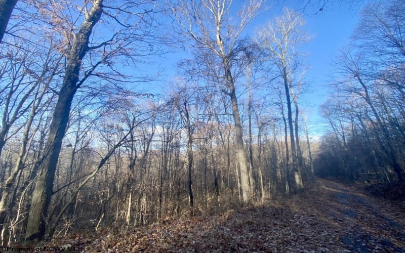 3 Stone Camp Ridge, Dryfork, West Virginia 26263, ,Lots/land,For Sale,Stone Camp,10156851