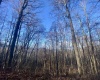 3 Stone Camp Ridge, Dryfork, West Virginia 26263, ,Lots/land,For Sale,Stone Camp,10156851