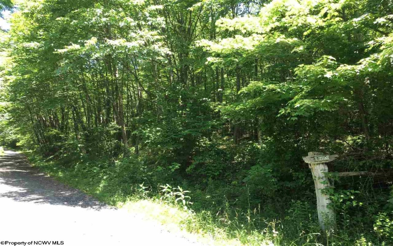 3 Stone Camp Ridge, Dryfork, West Virginia 26263, ,Lots/land,For Sale,Stone Camp,10156851