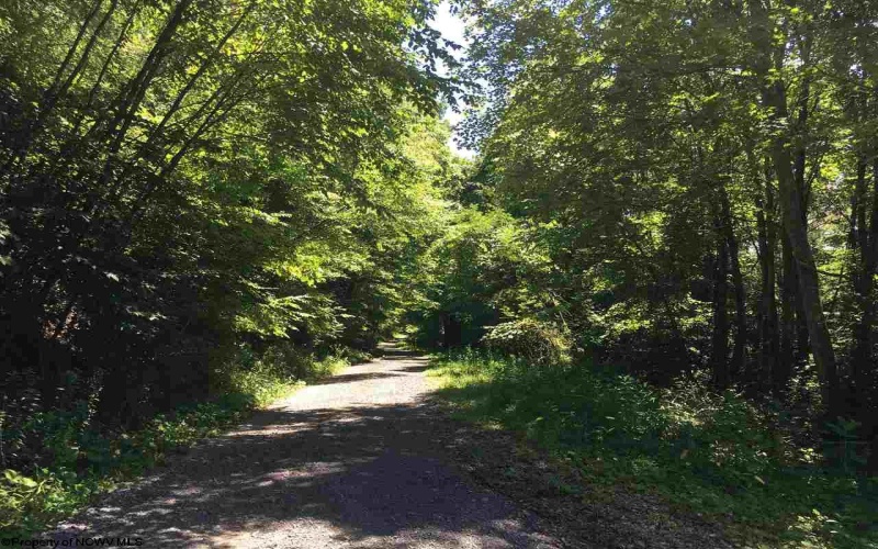 3 Stone Camp Ridge, Dryfork, West Virginia 26263, ,Lots/land,For Sale,Stone Camp,10156851