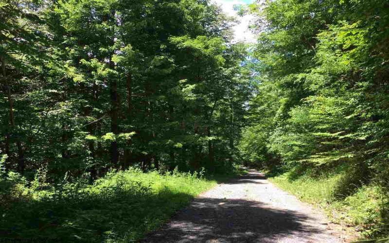 3 Stone Camp Ridge, Dryfork, West Virginia 26263, ,Lots/land,For Sale,Stone Camp,10156851