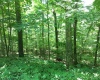 3 Stone Camp Ridge, Dryfork, West Virginia 26263, ,Lots/land,For Sale,Stone Camp,10156851