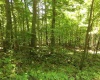 3 Stone Camp Ridge, Dryfork, West Virginia 26263, ,Lots/land,For Sale,Stone Camp,10156851