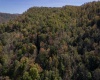 TBD George Washington Highway, Rowlesburg, West Virginia 26425, ,Lots/land,For Sale,George Washington,10156877