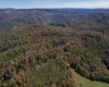 TBD George Washington Highway, Rowlesburg, West Virginia 26425, ,Lots/land,For Sale,George Washington,10156877