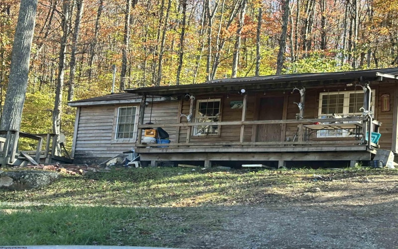 1046 Island Road, Belington, West Virginia 26250, 1 Bedroom Bedrooms, 3 Rooms Rooms,1 BathroomBathrooms,Single Family Detached,For Sale,Island,10156922