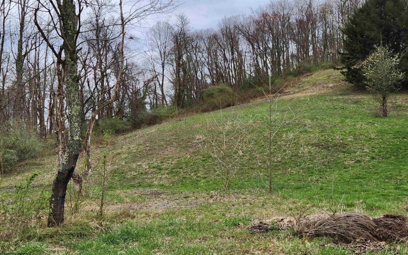 TBD 5.90 Aces Elk Creek Pike, Mount Clare, West Virginia 26408, ,Lots/land,For Sale,5.90 Aces Elk Creek,10153604