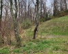 TBD 5.90 Aces Elk Creek Pike, Mount Clare, West Virginia 26408, ,Lots/land,For Sale,5.90 Aces Elk Creek,10153604