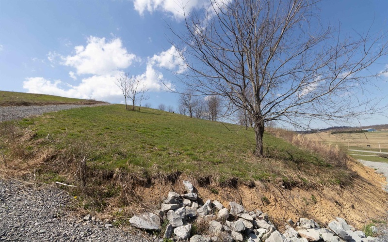 TBD Meadland Road, Bridgeport, West Virginia 26330, ,Lots/land,For Sale,Meadland,10156961