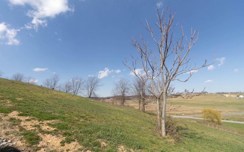 TBD Meadland Road, Bridgeport, West Virginia 26330, ,Lots/land,For Sale,Meadland,10156961