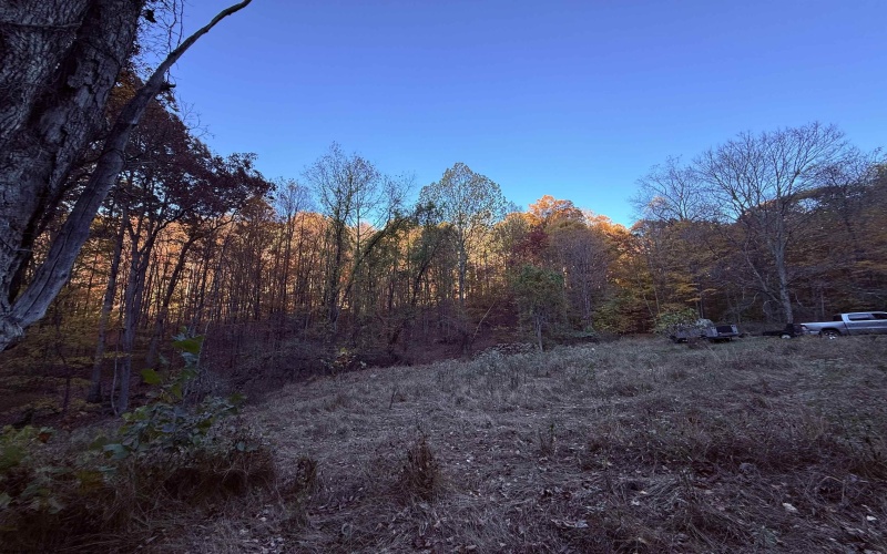 TBD Grassy Run, Fairmont, West Virginia 26554, ,Lots/land,For Sale,Grassy,10156992