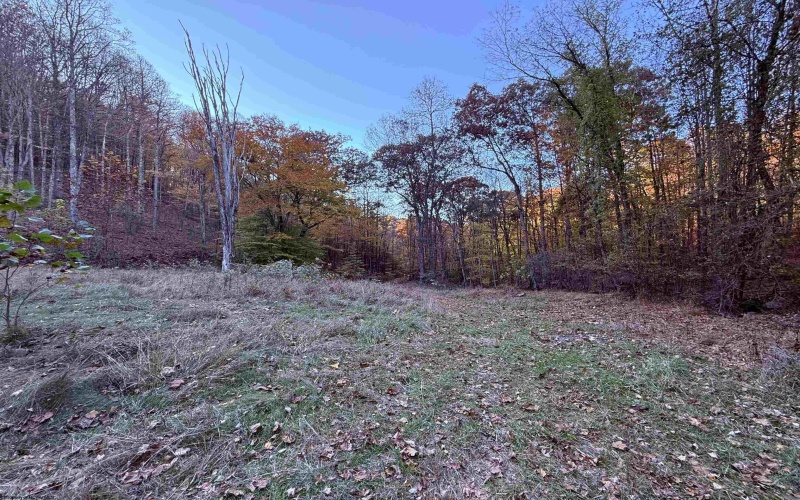 TBD Grassy Run, Fairmont, West Virginia 26554, ,Lots/land,For Sale,Grassy,10156992