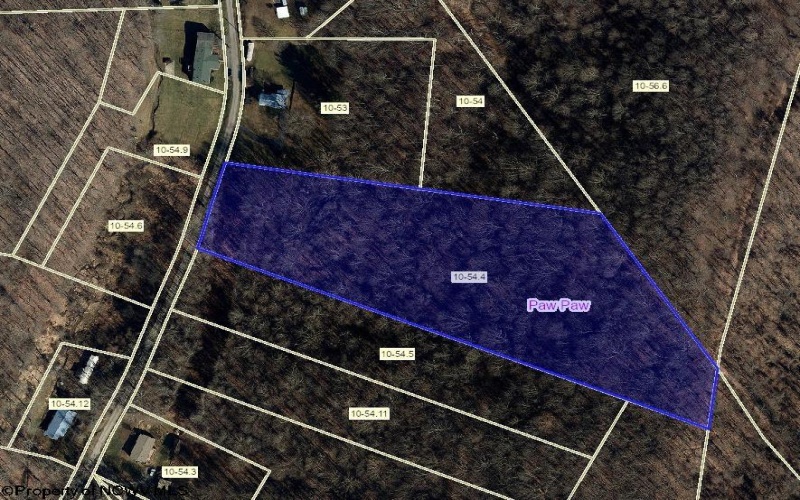 Lot 3 Jesse's Run Road, Fairview, West Virginia 26570, ,Lots/land,For Sale,Jesse's Run,10156975