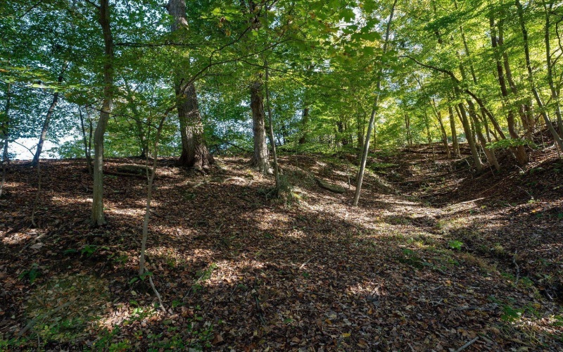 5007 Lake Lynn Drive, Morgantown, West Virginia 26508, ,Lots/land,For Sale,Lake Lynn,10156986