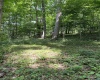 TBD Coplin Run Road, Bridgeport, West Virginia 26330, ,Lots/land,For Sale,Coplin Run,10156998