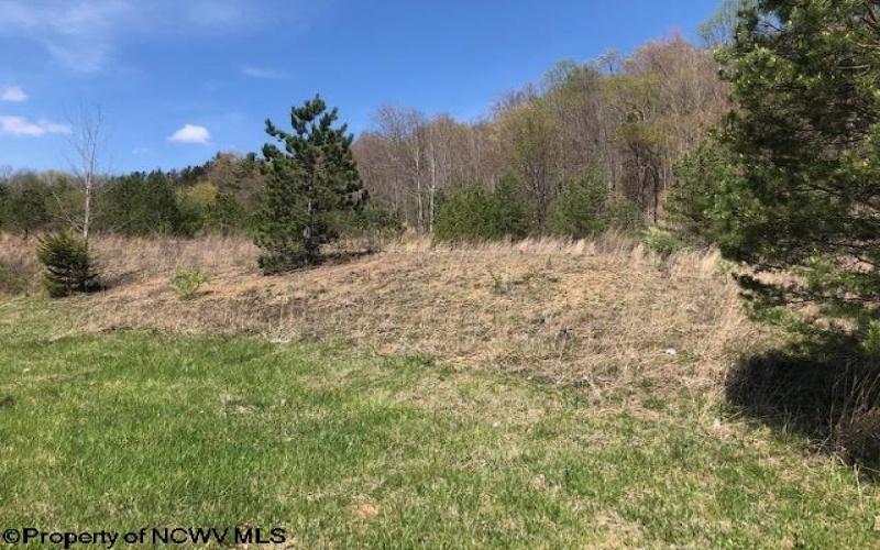 TBD Beverly Pike, Beverly, West Virginia 26253, ,Lots/land,For Sale,Beverly,10148698