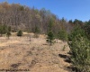 TBD Beverly Pike, Beverly, West Virginia 26253, ,Lots/land,For Sale,Beverly,10148698