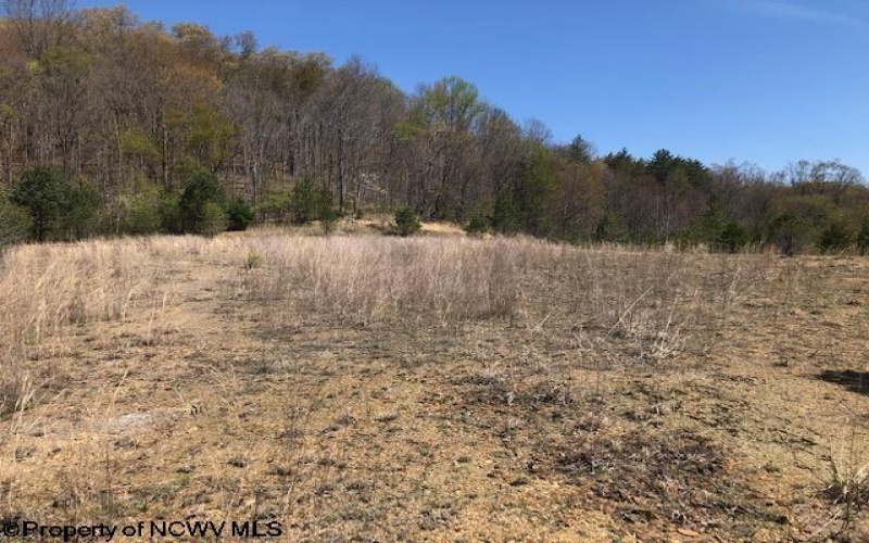 TBD Beverly Pike, Beverly, West Virginia 26253, ,Lots/land,For Sale,Beverly,10148698