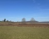 Lot 9 Clear View Lane, Davis, West Virginia 26260, ,Lots/land,For Sale,Clear View,10157020