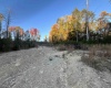 TBD Chestnutburg Road, Ansted, West Virginia 25812, ,Lots/land,For Sale,Chestnutburg,10157040