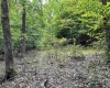 917 Mudlick Run Road, Fairmont, West Virginia 26554, ,Lots/land,For Sale,Mudlick Run,10150581