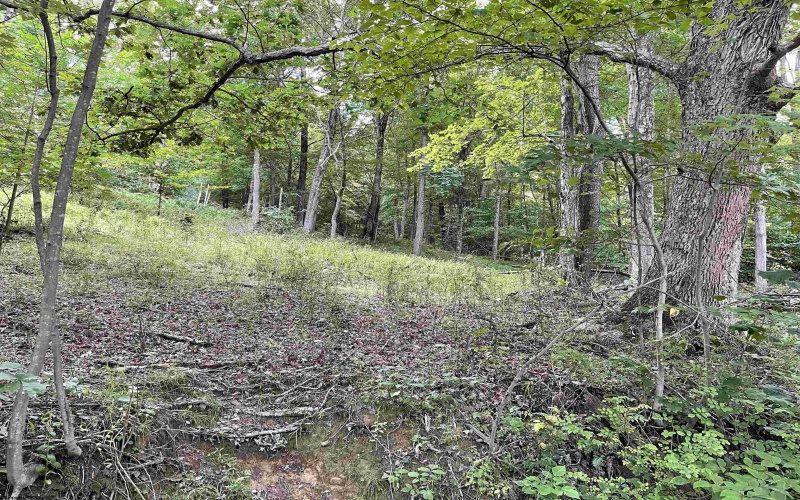 917 Mudlick Run Road, Fairmont, West Virginia 26554, ,Lots/land,For Sale,Mudlick Run,10150581