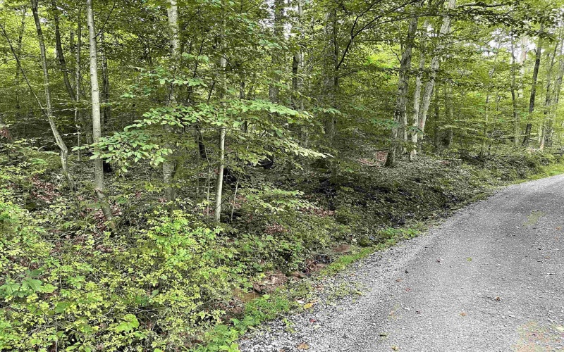 917 Mudlick Run Road, Fairmont, West Virginia 26554, ,Lots/land,For Sale,Mudlick Run,10150581