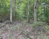 917 Mudlick Run Road, Fairmont, West Virginia 26554, ,Lots/land,For Sale,Mudlick Run,10150581