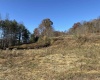 1299 Nellie Hole Road, Salem, West Virginia 26426-0000, ,Lots/land,For Sale,Nellie Hole,10157058