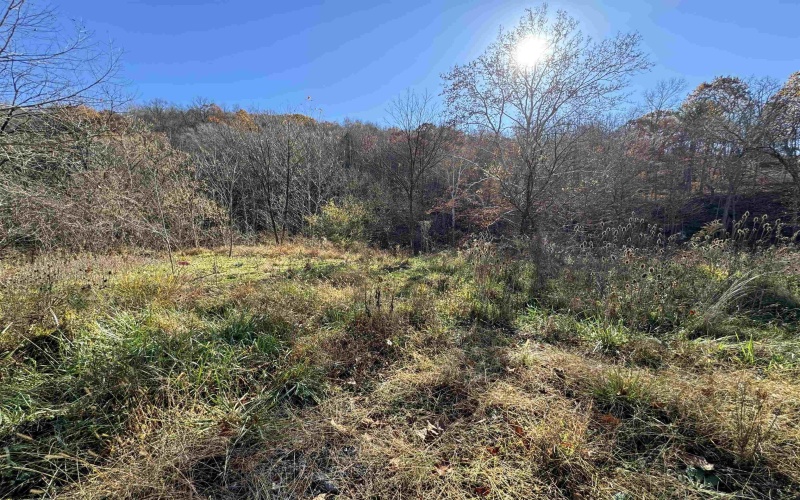 1299 Nellie Hole Road, Salem, West Virginia 26426-0000, ,Lots/land,For Sale,Nellie Hole,10157058