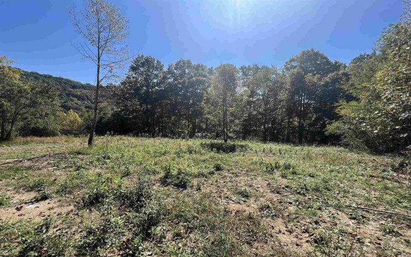 1299 Nellie Hole Road, Salem, West Virginia 26426-0000, ,Lots/land,For Sale,Nellie Hole,10157058