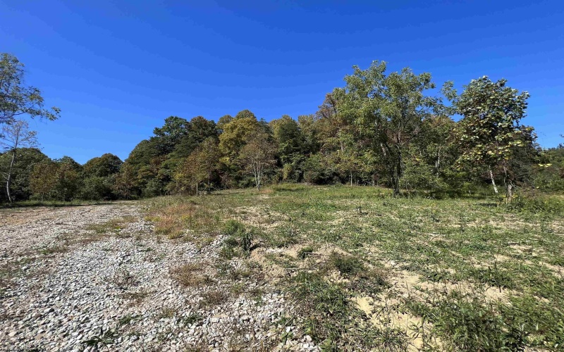 1299 Nellie Hole Road, Salem, West Virginia 26426-0000, ,Lots/land,For Sale,Nellie Hole,10157058