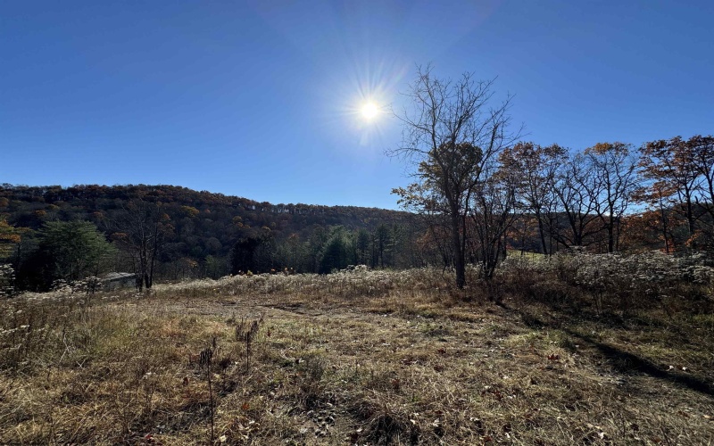 1299 Nellie Hole Road, Salem, West Virginia 26426-0000, ,Lots/land,For Sale,Nellie Hole,10157058